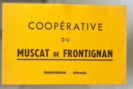 Buvard     Coopérative Du Muscat De Frontignan (Herault) - Liquor & Beer