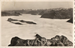 NEBELMEER VOM PILATUSKULM - F.P. - Kriens
