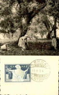 GRECE - Carte Maximum - M 8143 - Maximumkarten (MC)