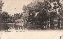 BELGIQUE - Linkebeek - Les Etangs - Vue Générale - Carte Postale Ancienne - Linkebeek