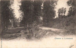 BELGIQUE - Chemin à Linkebeek - Vue Sur Le Chemin - Carte Postale Ancienne - Linkebeek