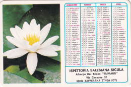Delcampe - Calendarietto - Ispettoria Salesiana Sicula -  Albergo  Del Bosco - Emmaus - Zafferana Etnea - Anno 1982 - Kleinformat : 1981-90