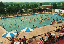 [-5%] BELGIQUE - Herselt - Kipdorp - Camping "Dry Eycken" - Zwembad - Piscine - Animé - Carte Postale - Herselt