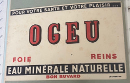 Buvard Eau Minérale Naturelle Ogeu - E