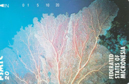 PHONE CARD MICRONESIA  (E116.8.1 - Mikronesien