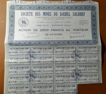 SOCIETE DES MINES DU DJEBEL SALRHEF - Action Au Porteur Et Coupons - Maroc 1954 - S - V