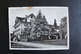W-339 / LU Lucerne - Meggen Kanton Luzern, Gasthaus Zum Kreuz - Meggen  / 1951 - Meggen