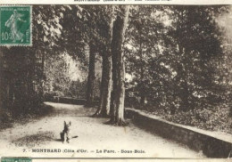 Delcampe - 21 Montbard Cote D' Or Le Parc Sous Bois - Montbard