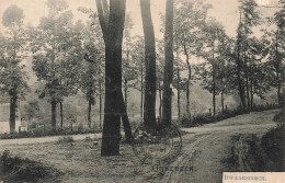 [-5%] BELGIQUE - Linkebeek - Dwaarsbosch - Chemin Dans La Forêt - Carte Postale Ancienne - Linkebeek