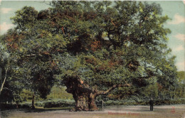 [-5%] ROYAUME UNI - Nottingham - Sherwood Forest - Animé - Carte Postale Ancienne - Nottingham