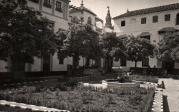 Delcampe - CPSM - SEVILLA - Plaza & Cruz Vues Diverses ... LOT 7 CP (format 9x14) - Sevilla