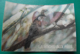 Image Animée La Roche Aux Fées. Les Animaux Préhistoriques Et Ceux D'aujourd'hui. Vers 1980. N° 13 Archaeoptéryx Coucal - Nutella