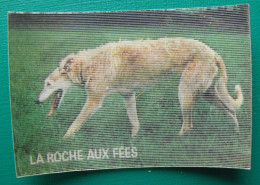 Image Animée La Roche Aux Fées. Les Animaux Préhistoriques Et Ceux D'aujourd'hui. Vers 1980. N° 18 Chien Cynognathus - Nutella