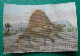 Image Animée La Roche Aux Fées. Les Animaux Préhistoriques Et Ceux D'aujourd'hui. Vers 1980. N° 21 Lion Dimetrodon - Nutella