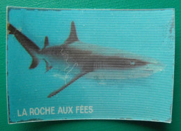 Image Animée La Roche Aux Fées. Les Animaux Préhistoriques Et Ceux D'aujourd'hui. Vers 1980. N° 23 Requin Dunkleosteus - Nutella