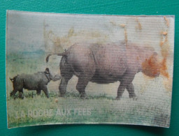 Image Animée La Roche Aux Fées. Les Animaux Sauvages Et Leurs Petits. Vers 1980. N° 23 Rhinocéros - Nutella