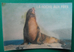 Image Animée La Roche Aux Fées. Les Animaux Sauvages Et Leurs Petits. Vers 1980. N° 28 Otarie - Nutella