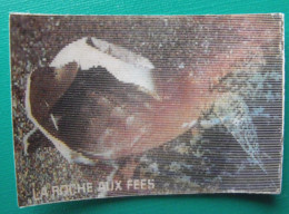 Image Animée La Roche Aux Fées. Les Animaux Sauvages Et Leurs Petits. Vers 1980. N° 30 Tortue - Nutella