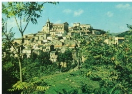 Delcampe - X3205) CARPINONE ISERNIA    CARTOLINA  NON VIAGGIATA - Isernia