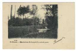Saint-Génois Sint-Denijs Zwevegem  Sanatorium St-Joseph Un Coin Du Parc  (zicht Op 2 Wieken Van De Molen) Edit DVD 11210 - Zwevegem