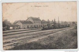 ESTERNAY (51) - LA GARE - Esternay