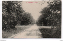 MONTECH (82) - LA FORET - Montech