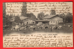 ZYV-31 Lancy Laiterie Modèle  Petite Animation. Troupeau De Vaches. Doa Aimplw. Xiex. 1904 Vers Annecy - Lancy