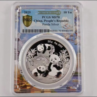 China 2025 Panda Silver Coins 30g Ag.999 1Pcs Coin RMB 10 Yuan PCGS MS70 - First Day Issue （Shanghai Scenery Label） - Cina