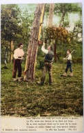 Delcampe - Landes : Résiniers - Le Pin Des Landes (Th. G.) - "Sans Regretter Son Sang..." - F. Bernède, Phot. - Bauern