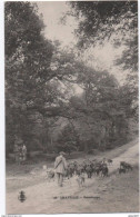 CHAVILLE (92) - PELERINAGE - Chaville