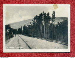 Photo Syrie DAMAS Ain Fijeh - Voie De Chemin De Fer - Train - Syria