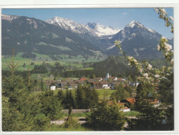 Fischen Im Allgäu - Fischen