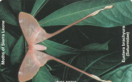 PHONE CARD SIERRA LEONE URMET NEW (E117.14.6 - Sierra Leone