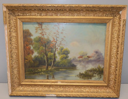 -TABLEAU HSC Signé CEDONI CADRE BOIS Doré PAYSAGE LACUSTRE BORD De RIVIERE    E - Acrylic Resins