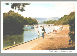 CPM - Royaume Uni - Loch Lomond - The River Leven At Balloch - Dunbartonshire