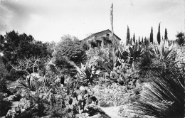Delcampe - CPSM La Roquebrussanne-Jardin Les Rocailles         L3468 - La Roquebrussanne