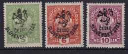 CZECHOSLOVAKIA 1918 - MLH - Budweiser Ausgabe 5h, 6h, 10h - Gebraucht