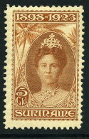 Curaçao En Suriname 1873-2000 (on)gebruikte Collectie In Klemband Met Betere Zegels - Other & Unclassified