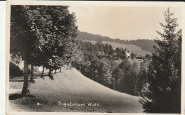 WALD SANATORIUM - Wald