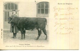 CPA.78.YVELINES.GRIGNON.ÉCOLE DE GRIGON.GENISSE DURHAM. - Grignon