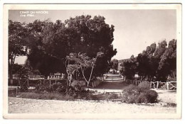 Tunisie - Camp Du Nador - Une Allée - éd. Illustra Tunis - écrite 1951 - Tunesië