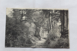 Delcampe - Forêt De Carnelle, Le Chemin De La Pierre Turquoise, Beaumont Sur Oise, Val D'Oise 95 - Beaumont Sur Oise