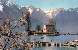 [-5%] SUISSE - Clarens Montreux - Lîle De Salagnon Et Les Alpes De Savoie - Carte Postale - Montreux