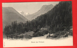 ZZA-01 Finhaut Route Des Finhauts. ANIME. Jullien 1677 DS NC - Finhaut