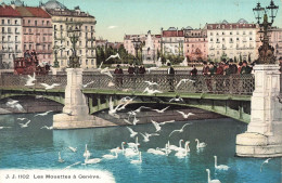 [-5%] SUISSE - Genève - Les Mouettes à Genève - Carte Postale Ancienne - Genève