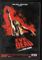 Dvd  EVIL DEAD     C54 - Horror