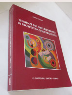 Tendenze Del Diritto Privato In Prospettiva Comparatistica Andrea Fusaro 2015 - Law & Economics