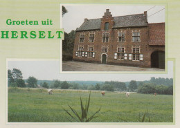 * 11.237 - HERSELT - Kaaibeekhoef - Herselt