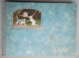 Album Vide Pour Cartes Postales - Art Nouveau - Châtons - Alben, Binder & Blätter