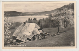 Delcampe - Titisee, Hochschwarzwald - Hochschwarzwald